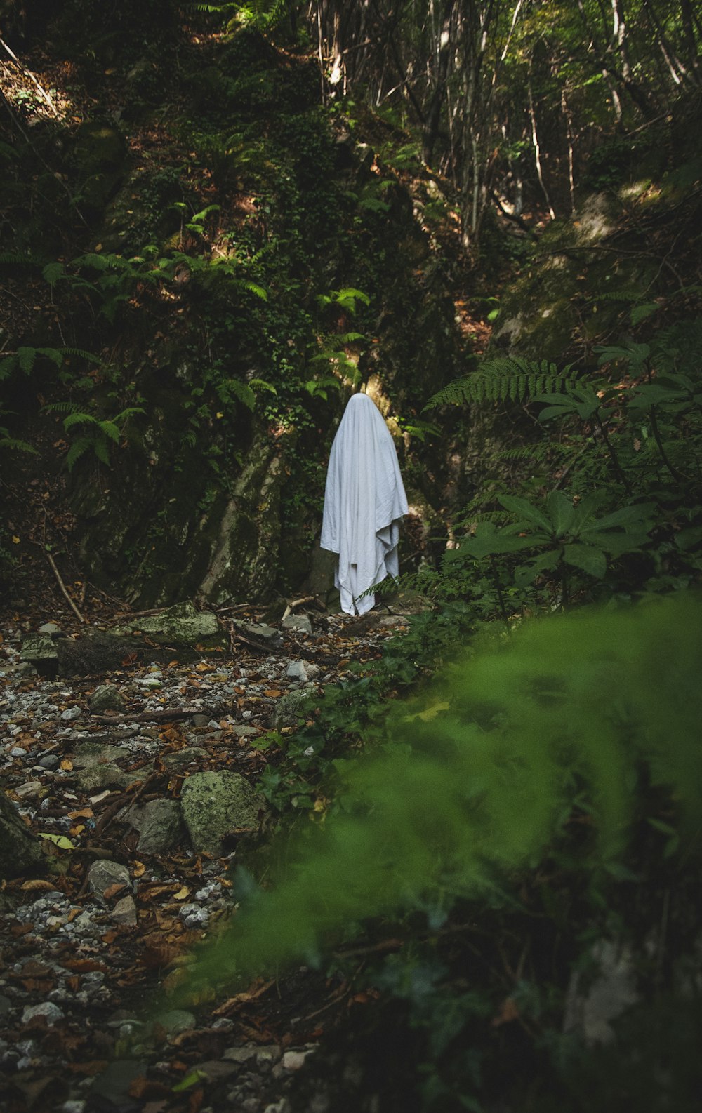 uma mulher em um vestido branco caminhando por uma floresta