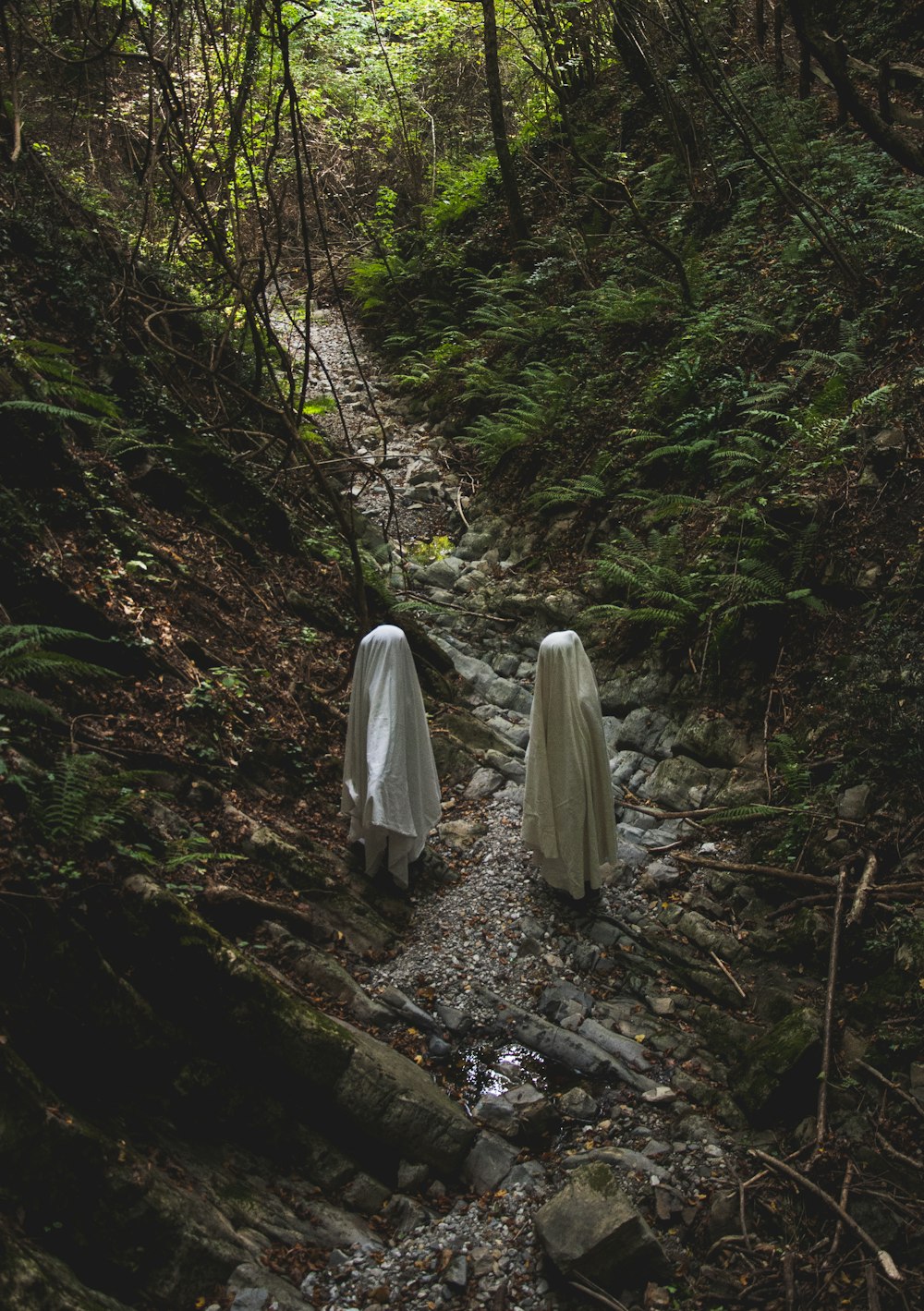 Duas pessoas fantasmagóricas caminhando por uma trilha na floresta