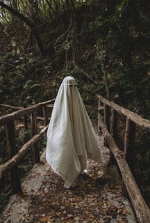 a ghost is walking across a bridge in the woods