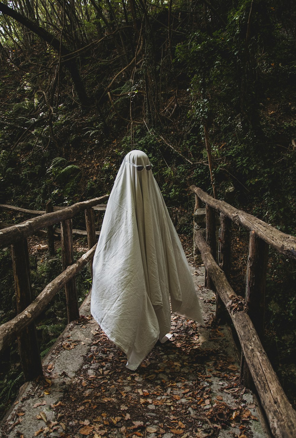 Un fantasma sta camminando attraverso un ponte nel bosco