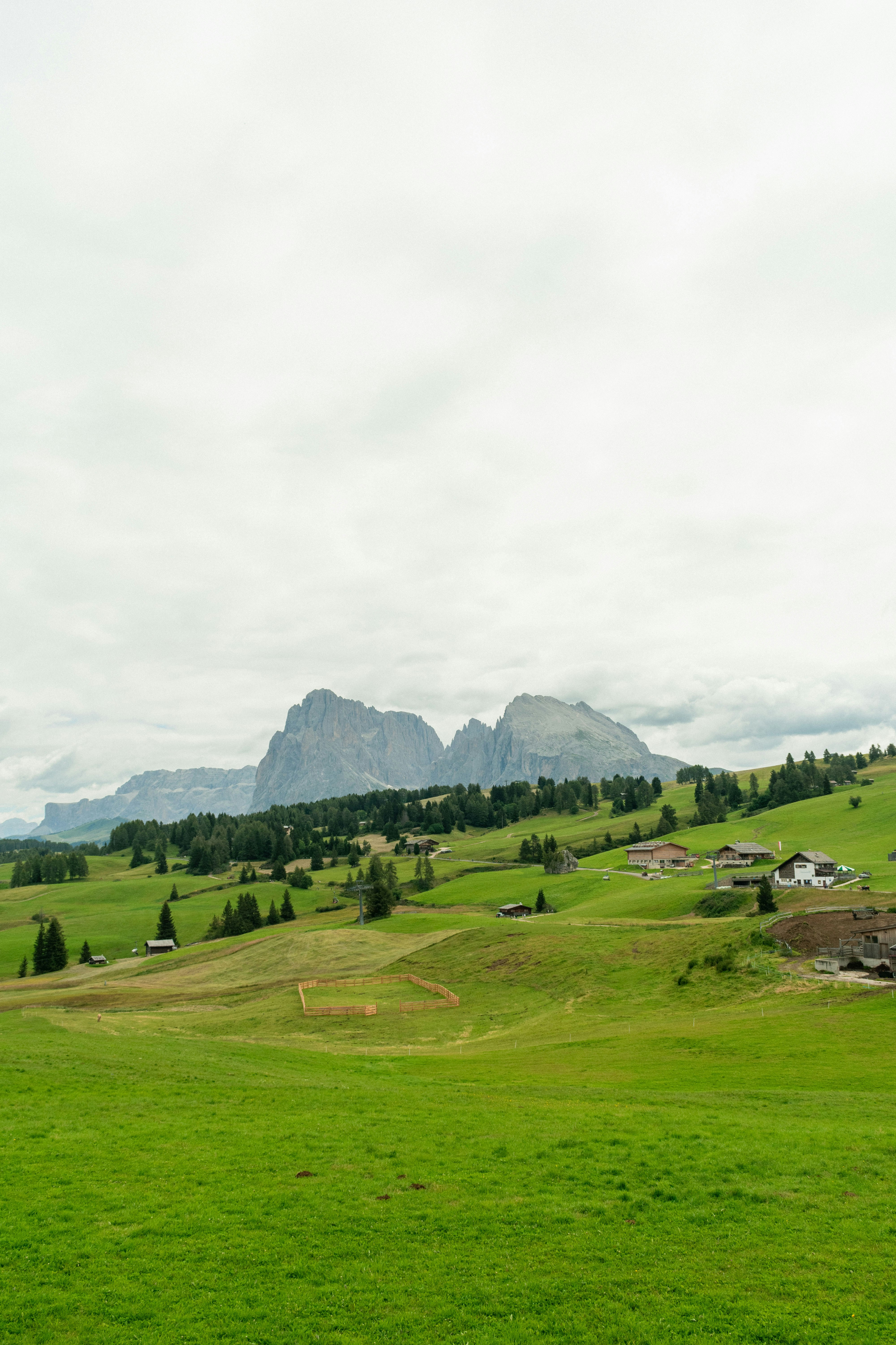 Photo by damiano_baschiera