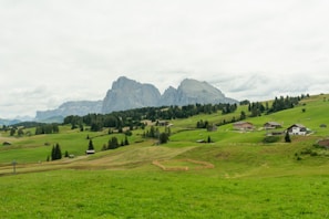 A tranquil rural setting with mountains in the background.