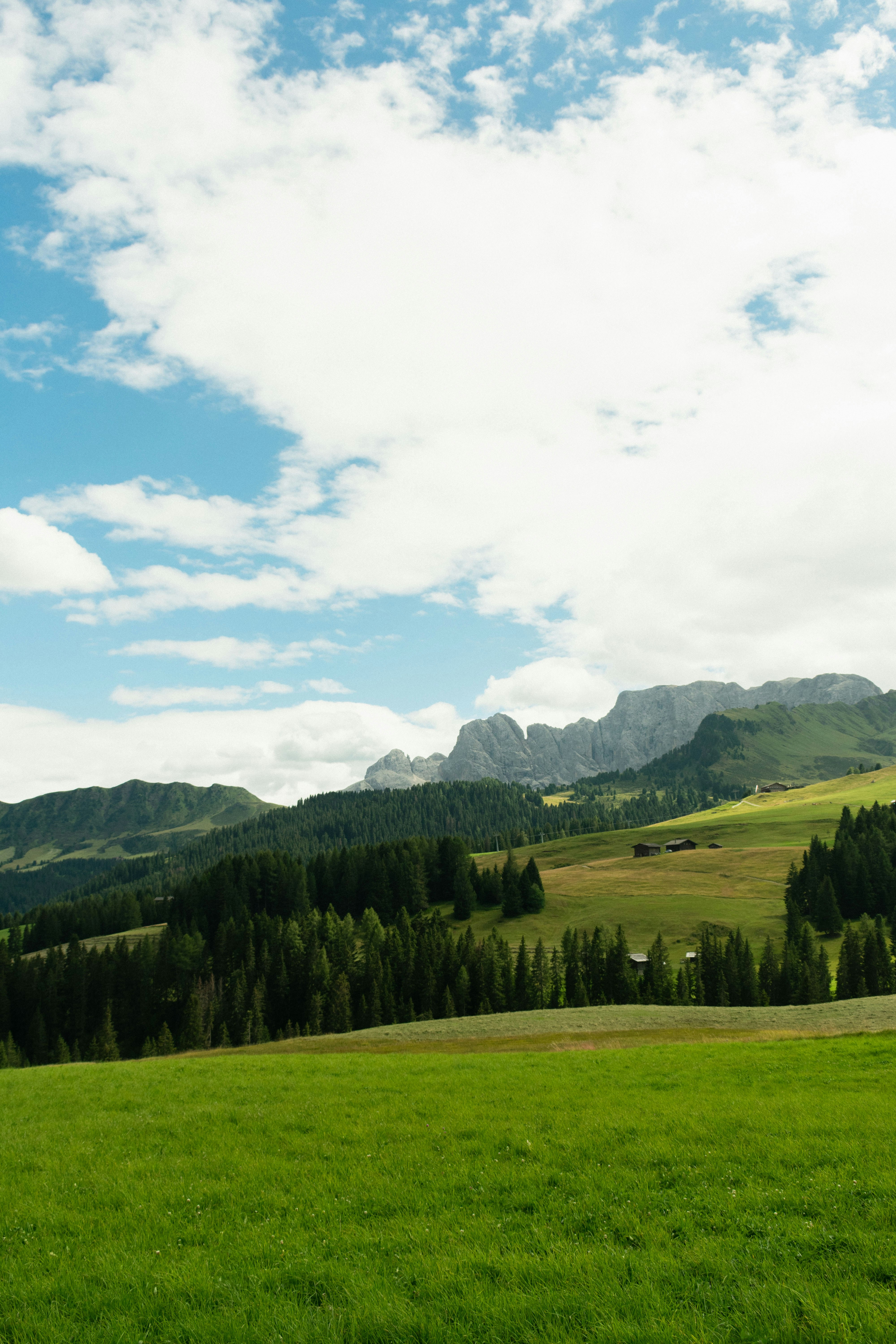 Photo by damiano_baschiera