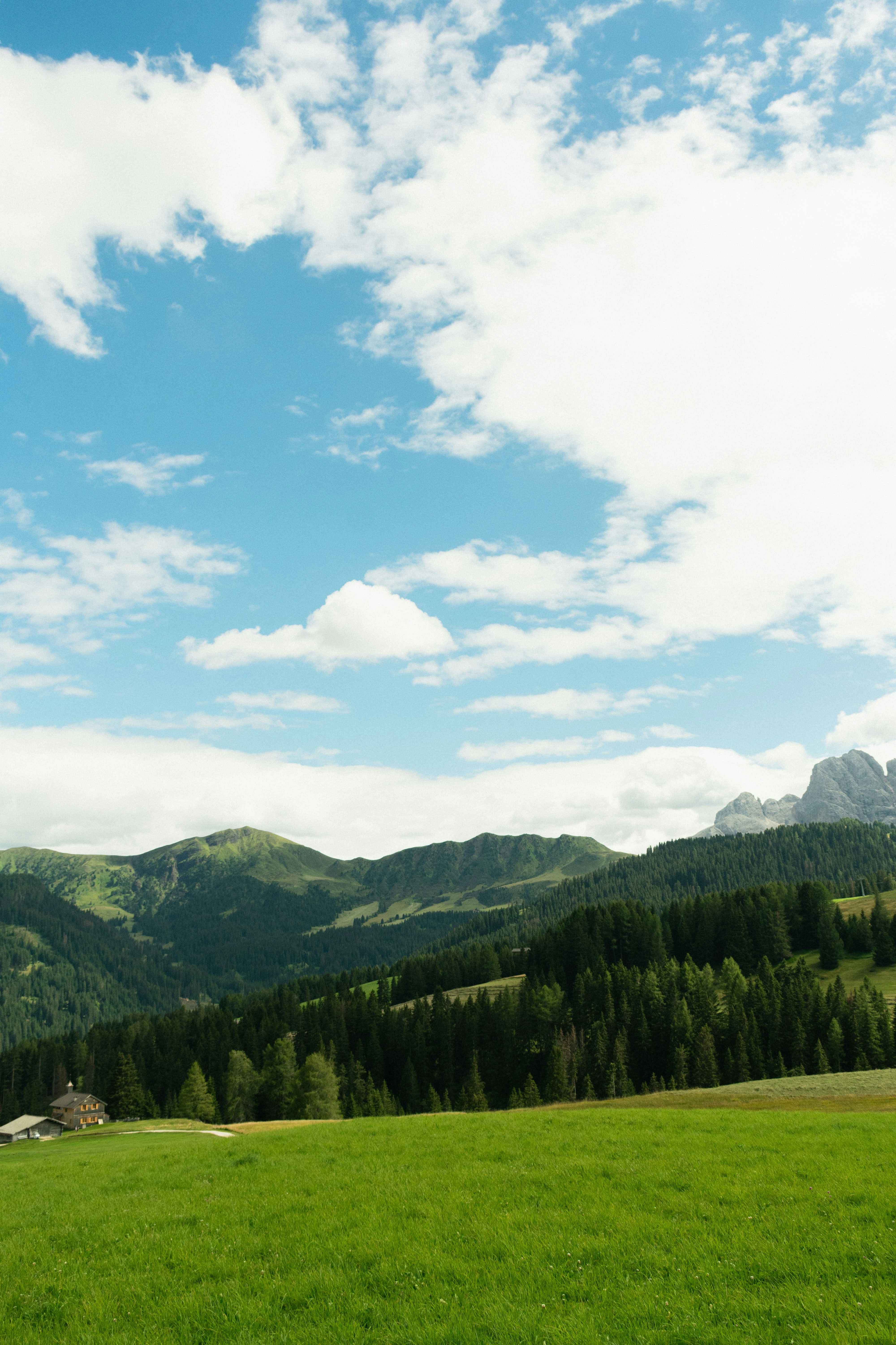 Photo by damiano_baschiera