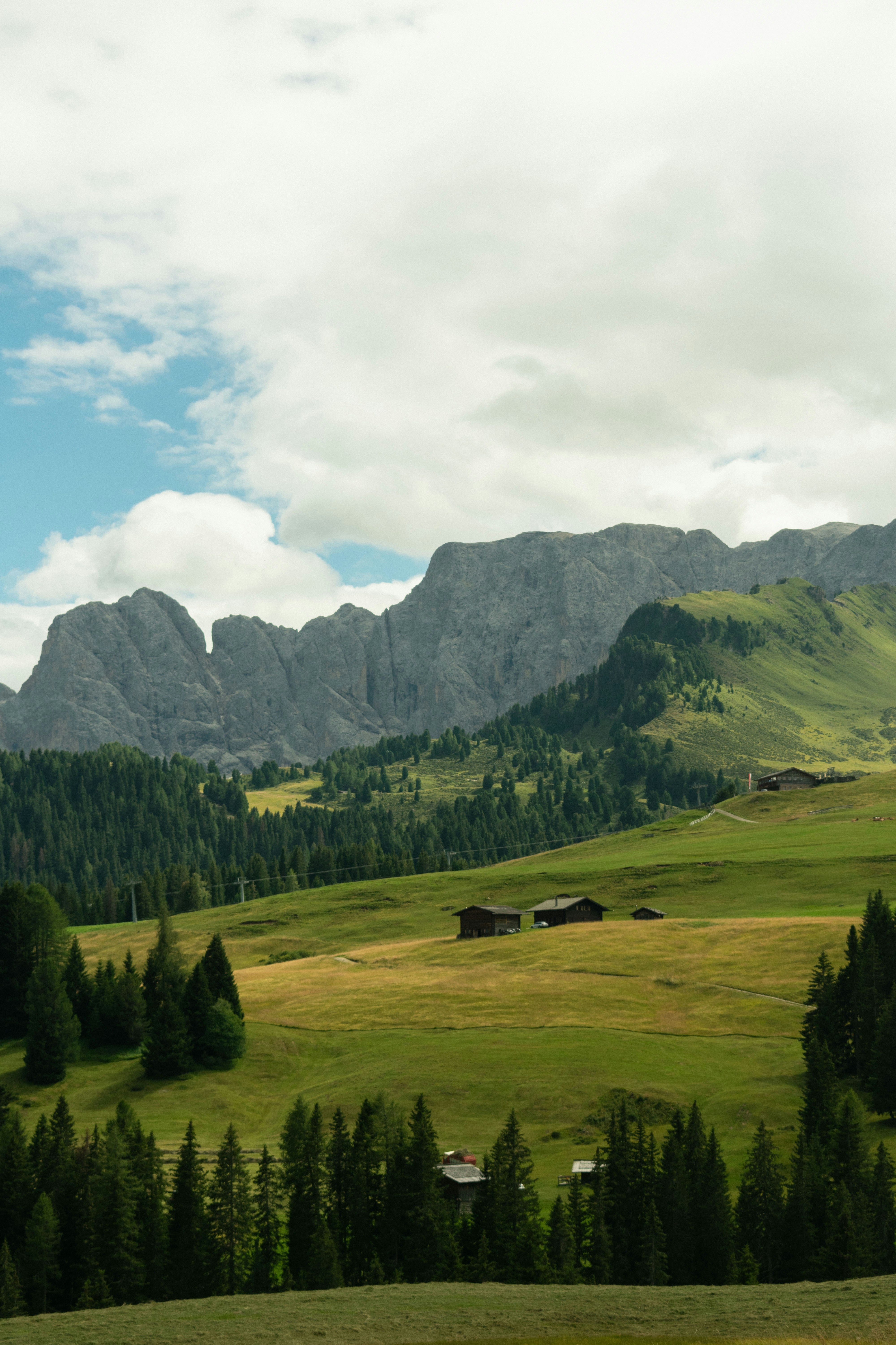 Photo by damiano_baschiera