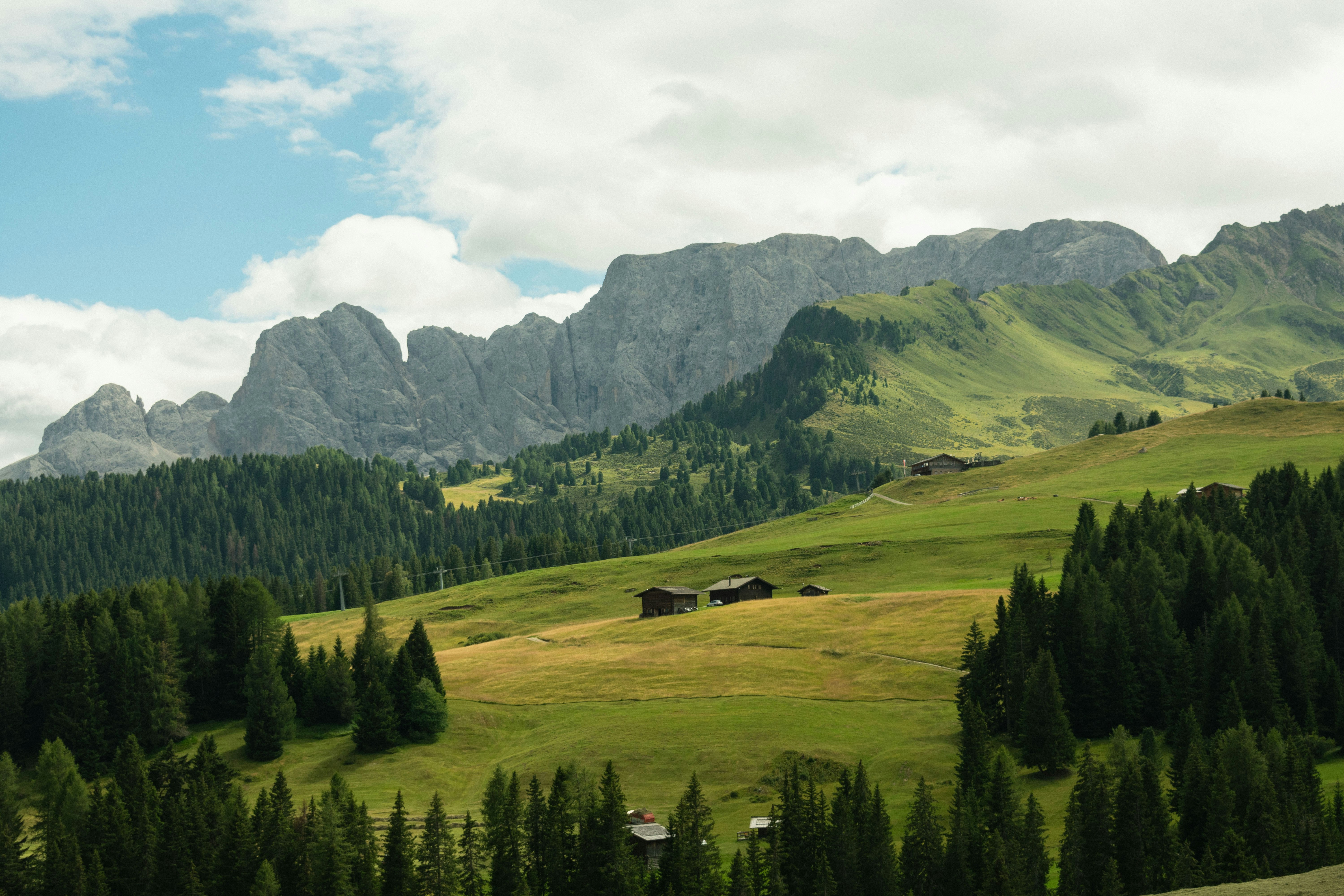 Photo by damiano_baschiera