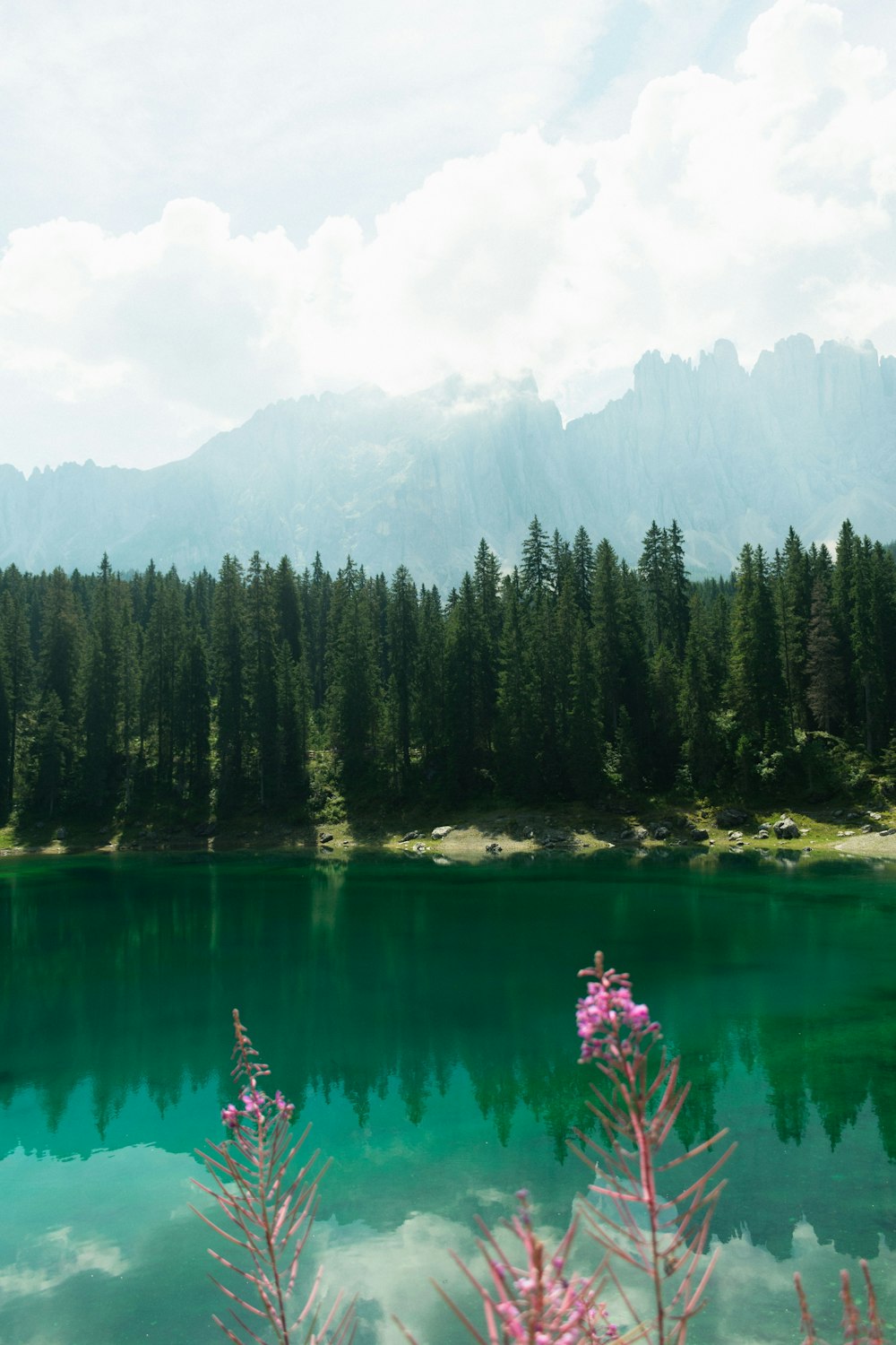 a large body of water surrounded by trees