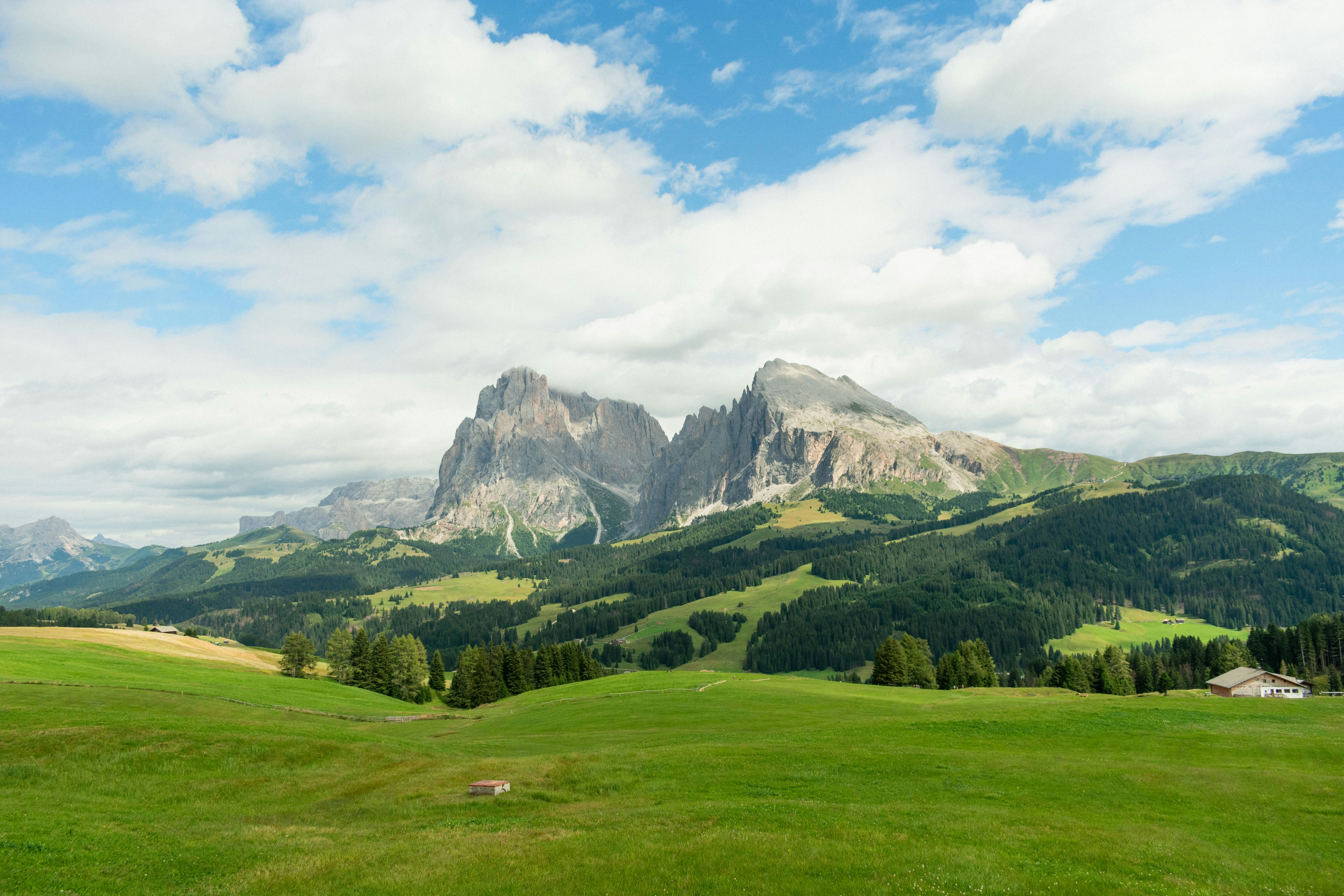 Photo by damiano_baschiera