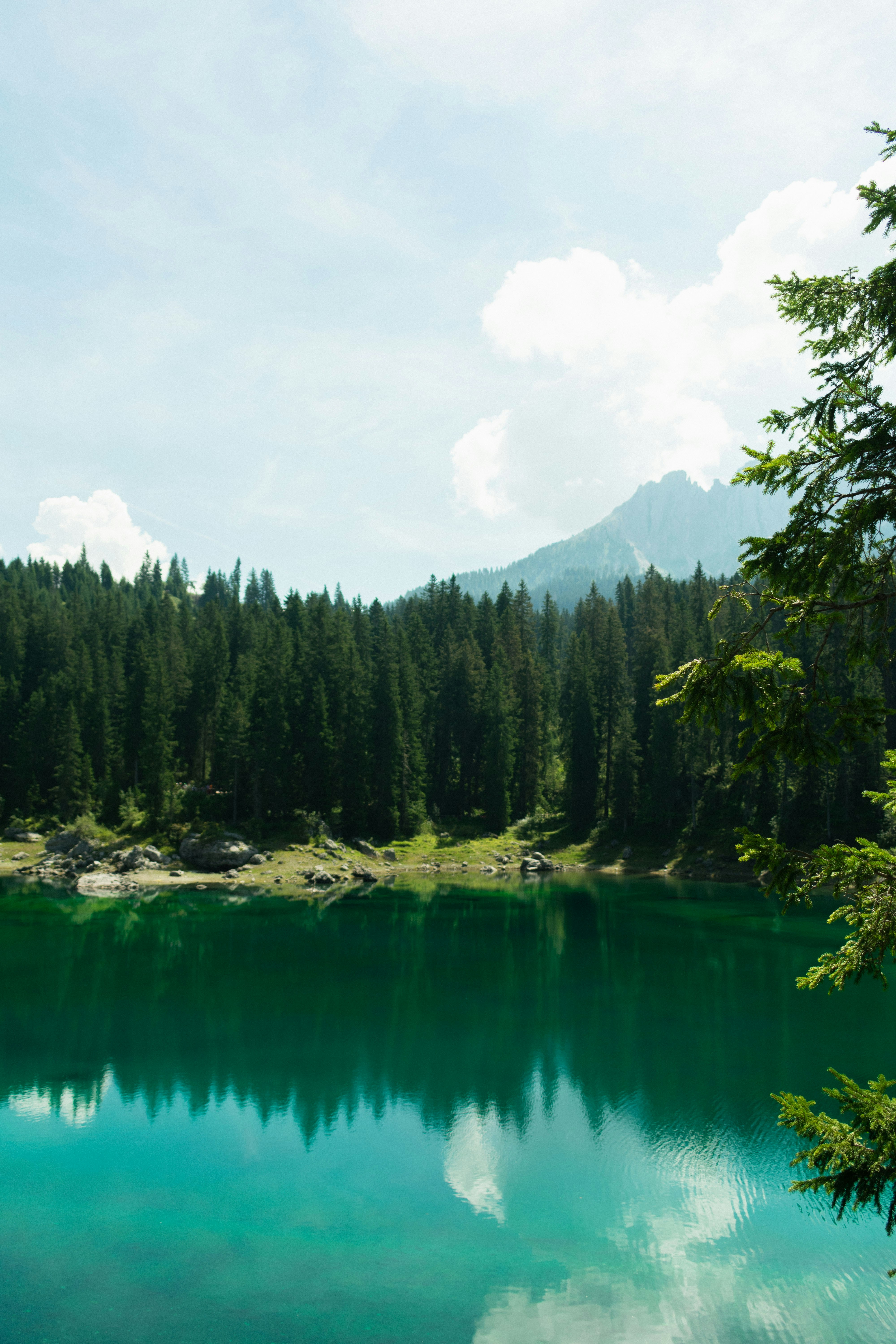 Photo by damiano_baschiera