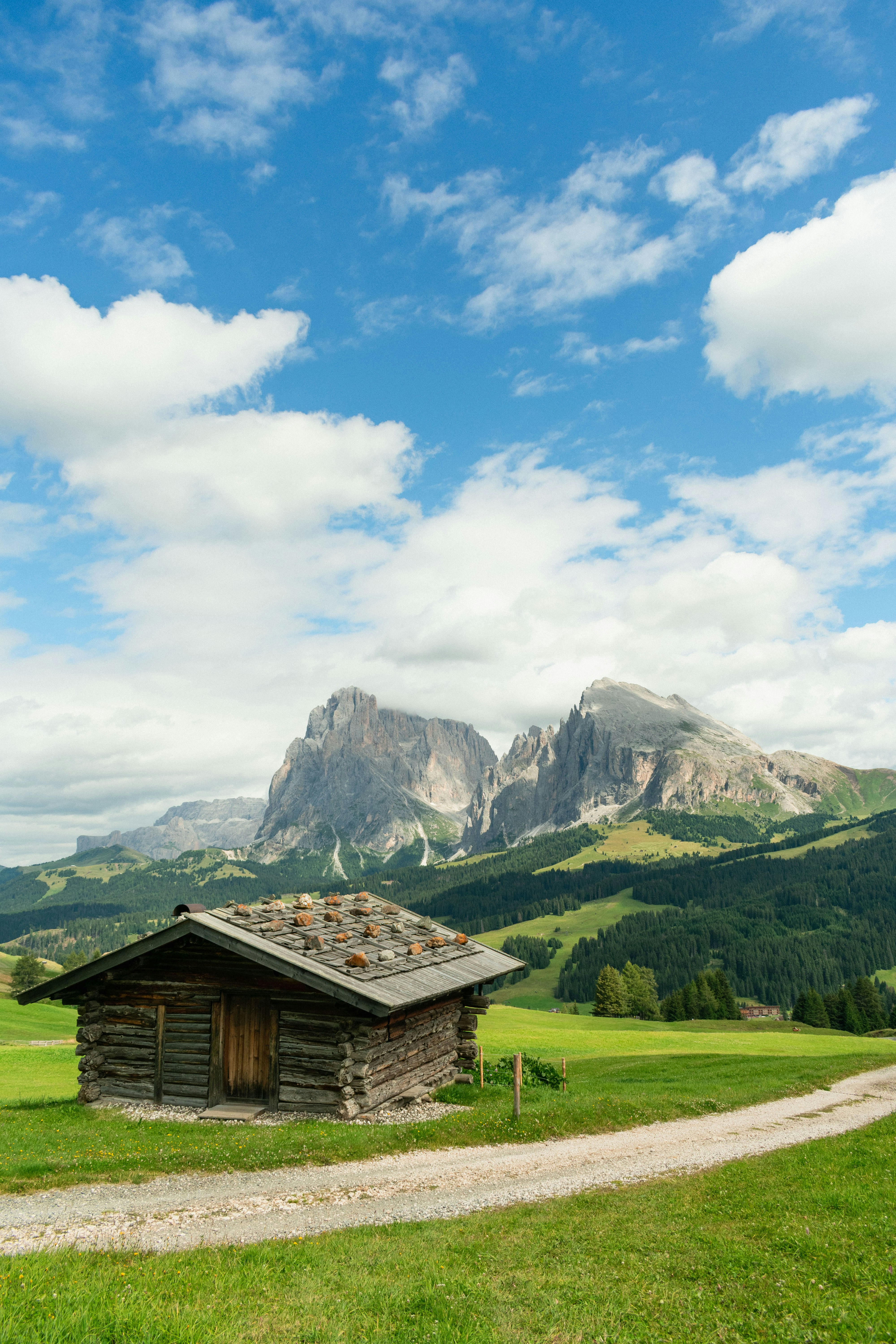 Photo by damiano_baschiera