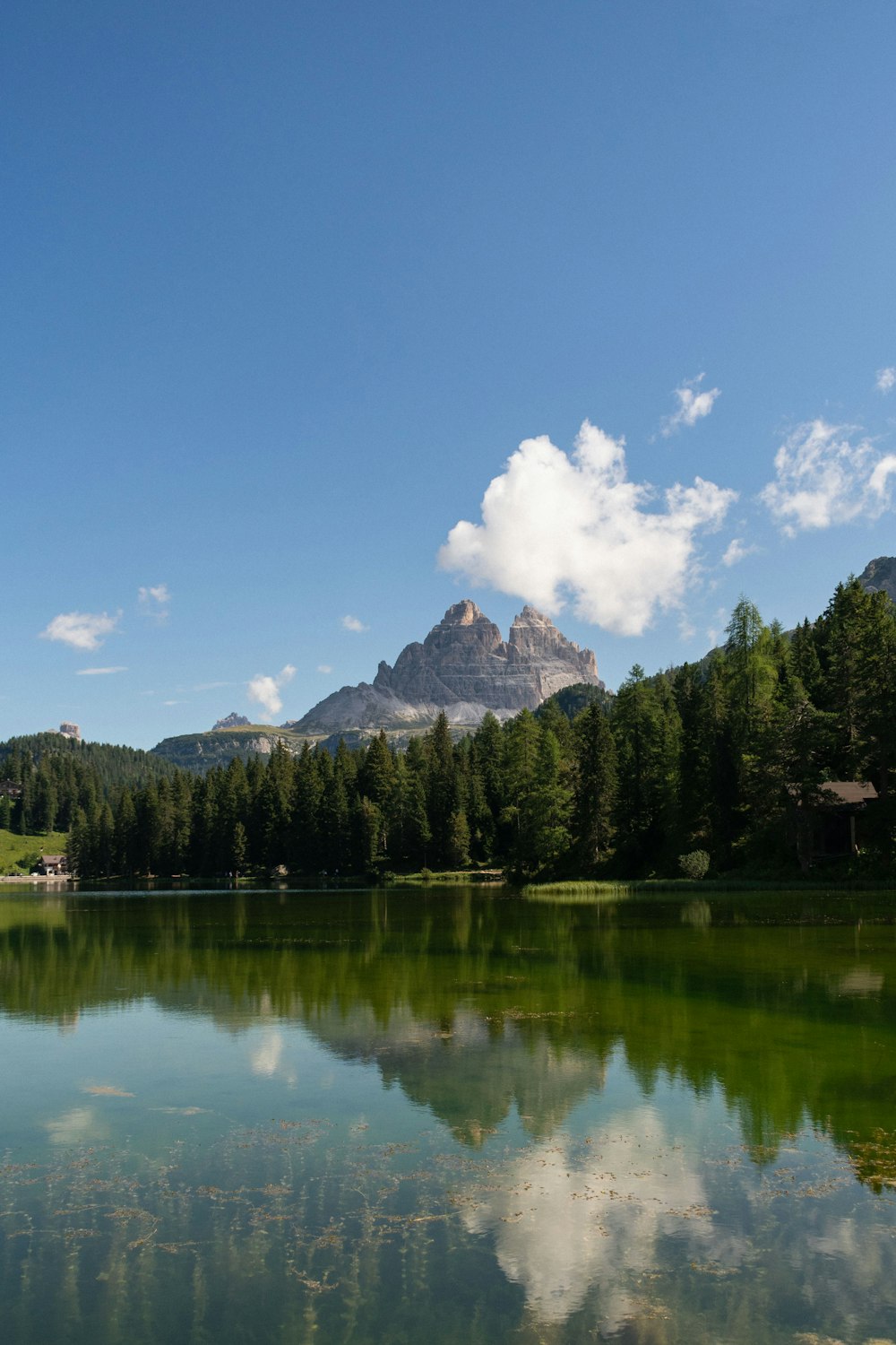 a lake surrounded by trees and mountains under a blue sky