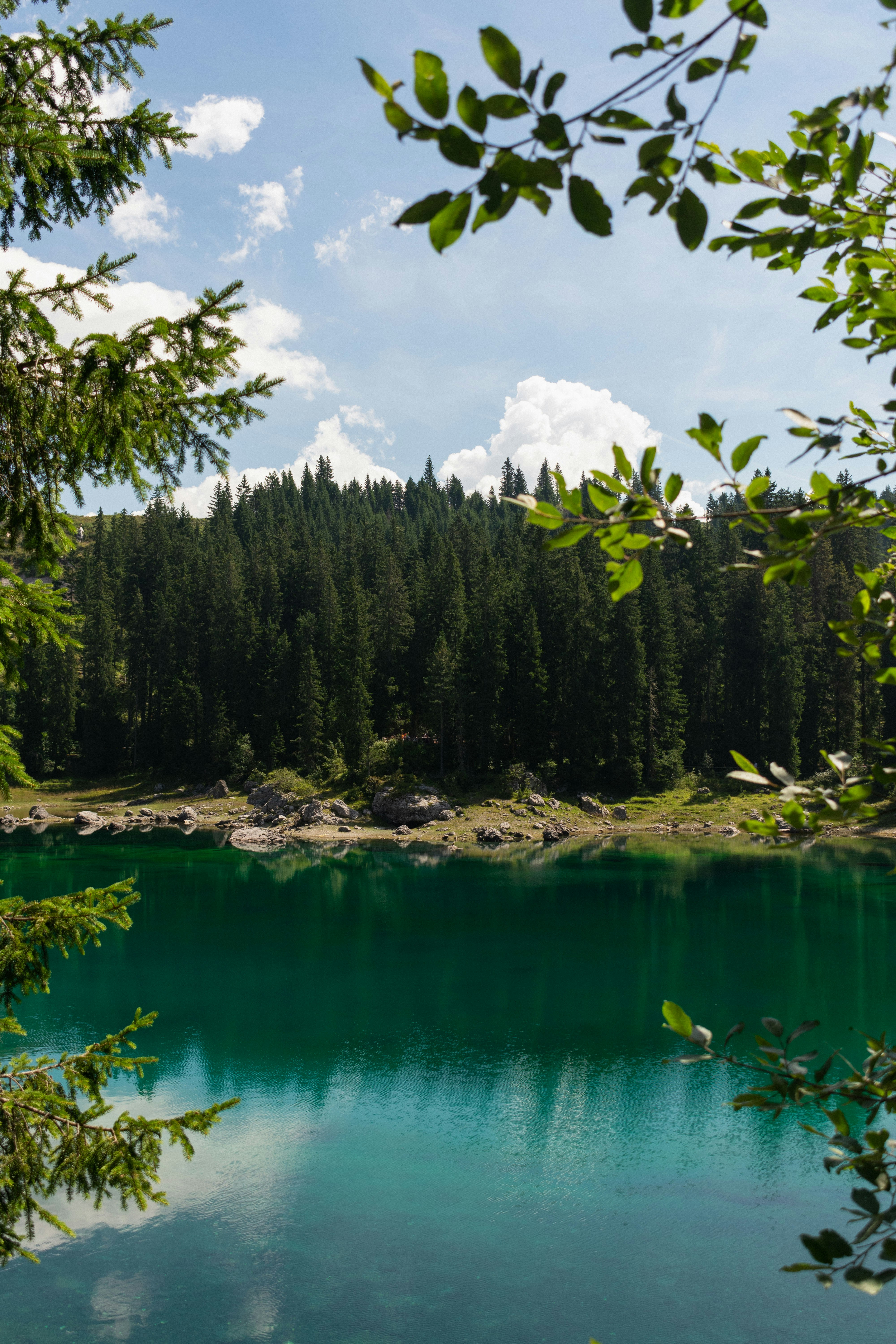 Photo by damiano_baschiera