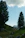 Smiling woman enjoying a scenic tour with a group in a lush green landscape.