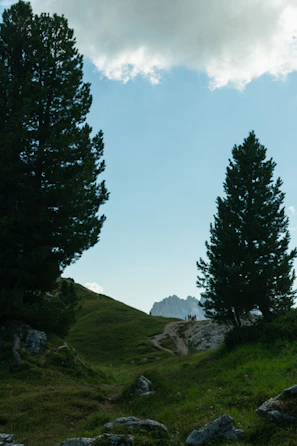 A scenic outdoor adventure with a small group hiking through lush green hills