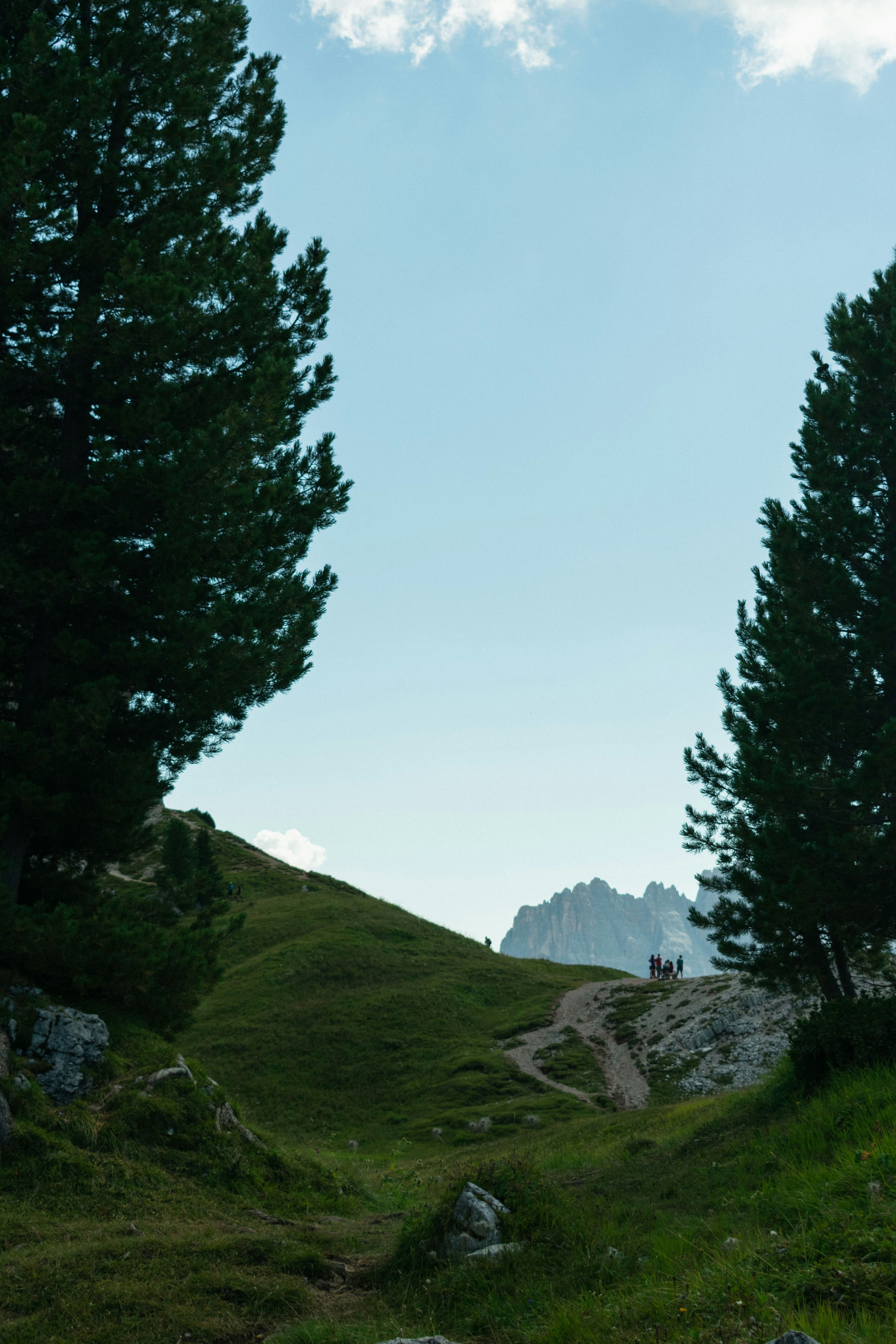 a group of people walking up a grassy hill