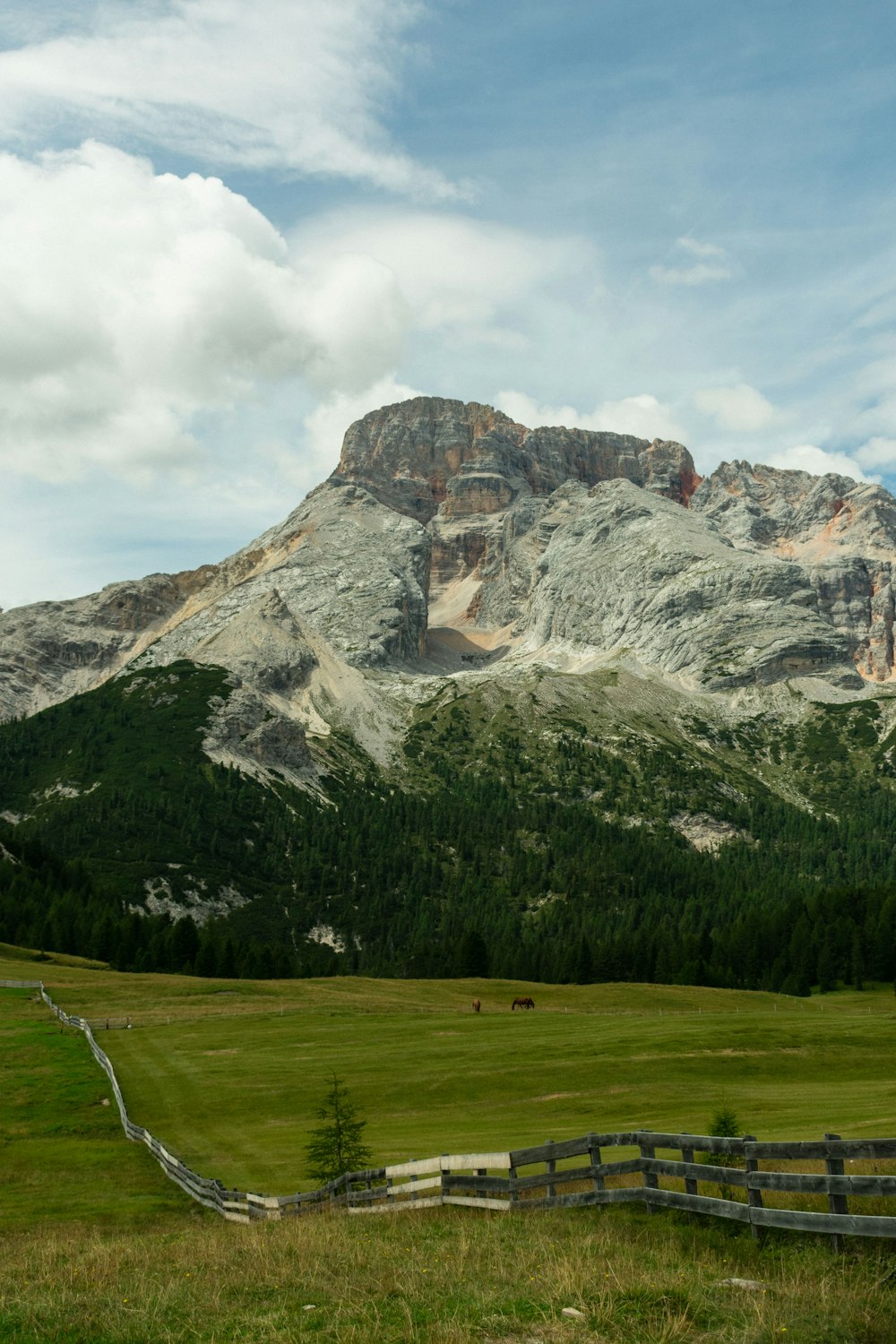 a grassy field with a fence and mountains in the background