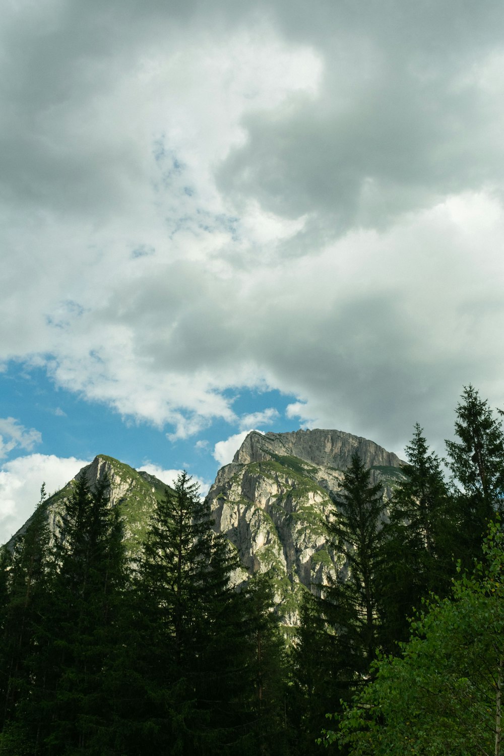 a view of a mountain with trees in the foreground