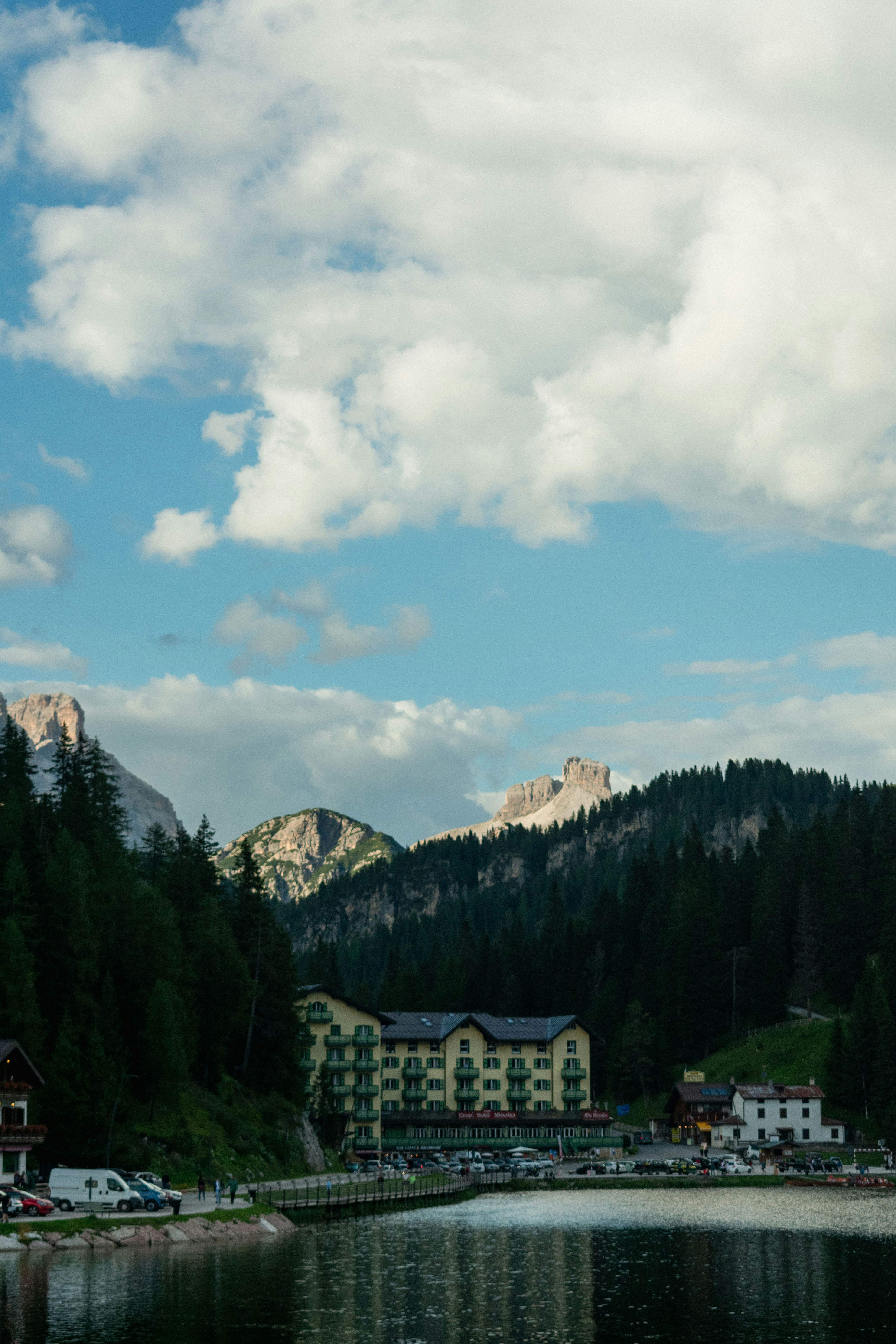 a body of water surrounded by a forest