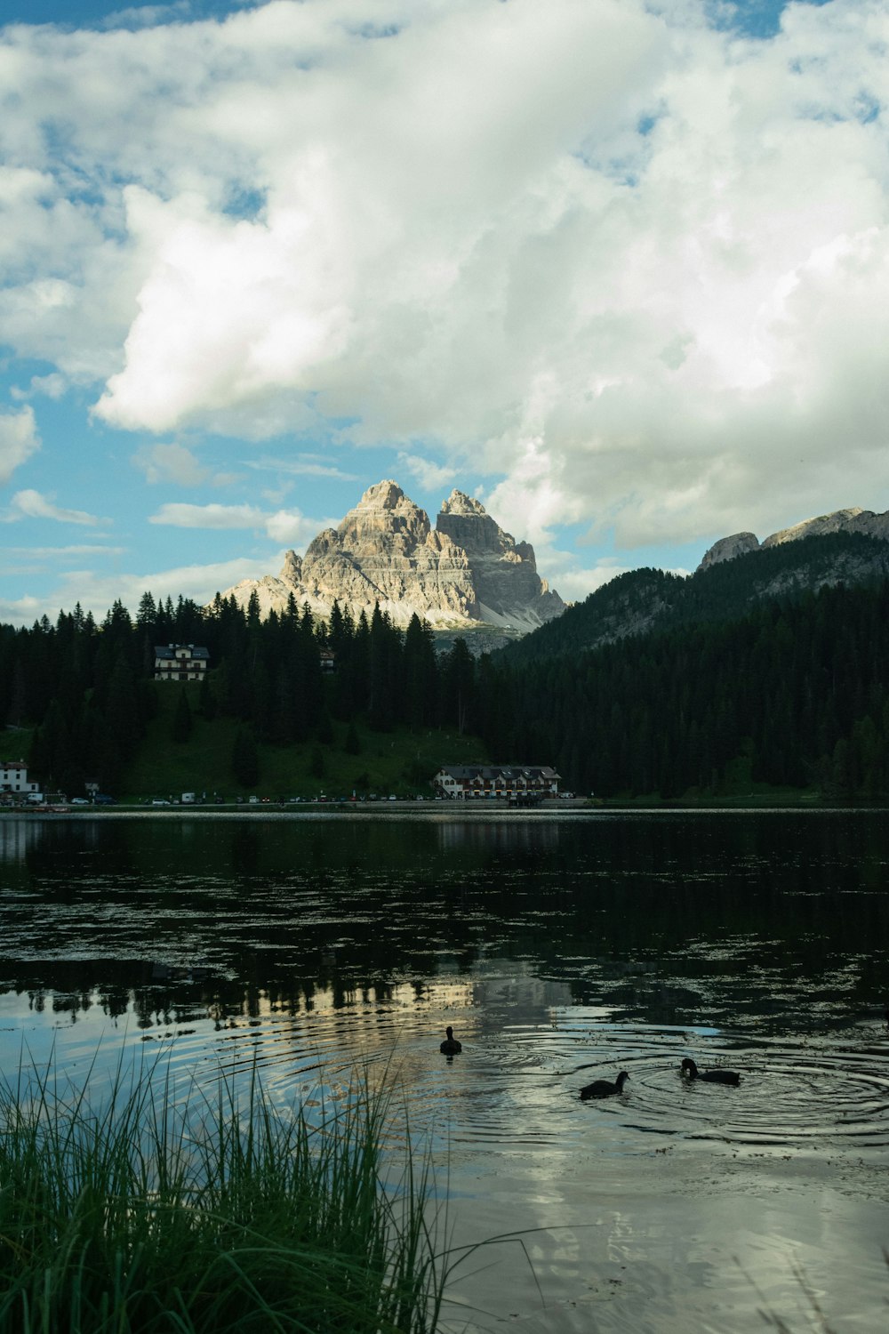 a body of water surrounded by mountains and trees