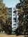 A mid-rise residential building with multiple balconies is partially obscured by lush green trees. The building's facade is white with a modern design, and it stands within a landscape of grass and foliage.