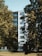 A mid-rise residential building with multiple balconies is partially obscured by lush green trees. The building's facade is white with a modern design, and it stands within a landscape of grass and foliage.
