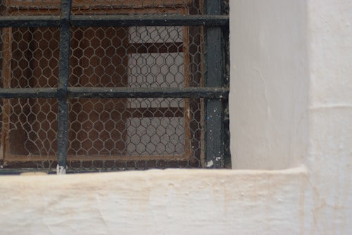 Photo 1692613685934 A0da43bd3503?q=85&w=500&h=500&fit=crop