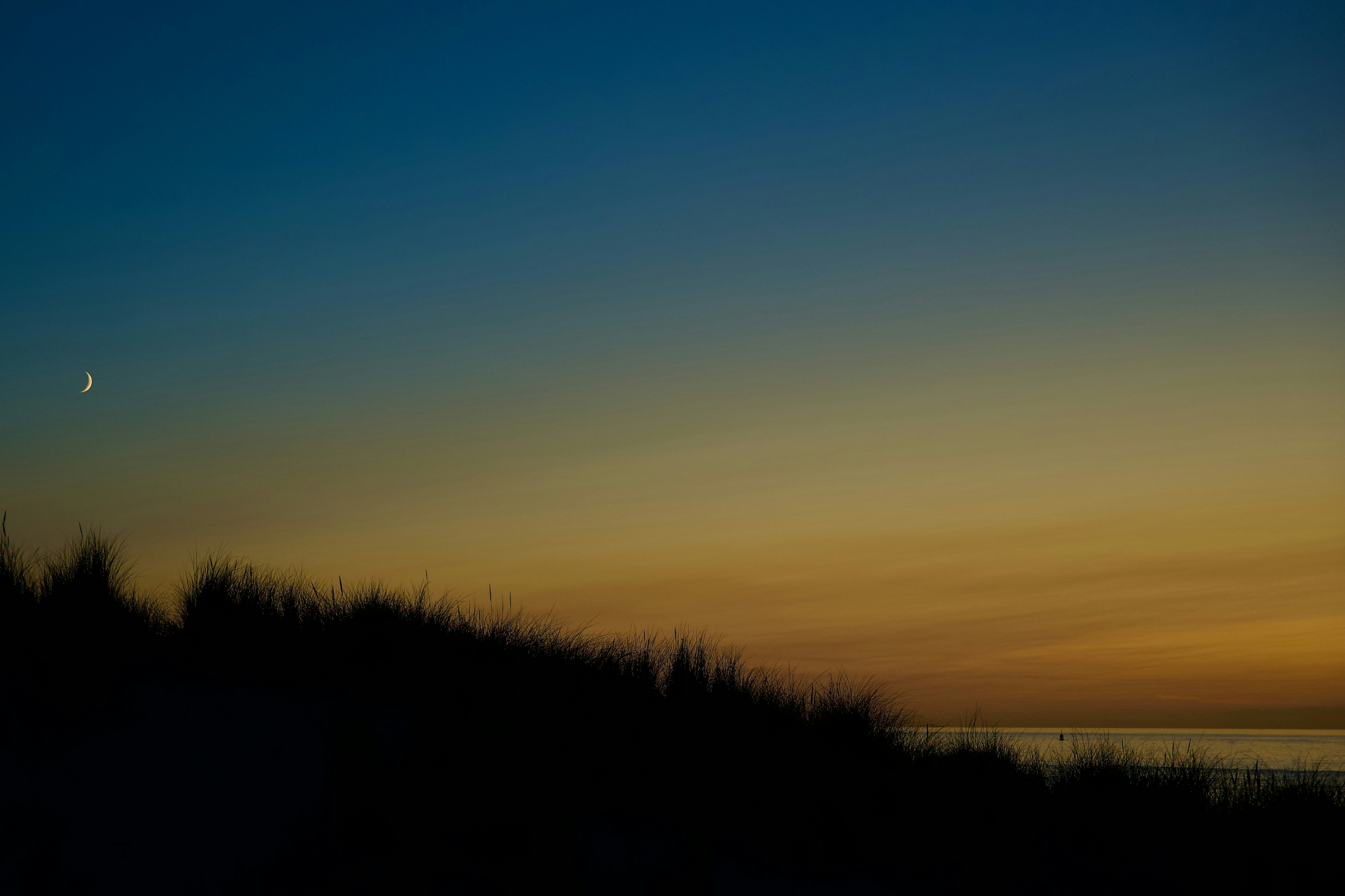 Photo by kingsukpasari