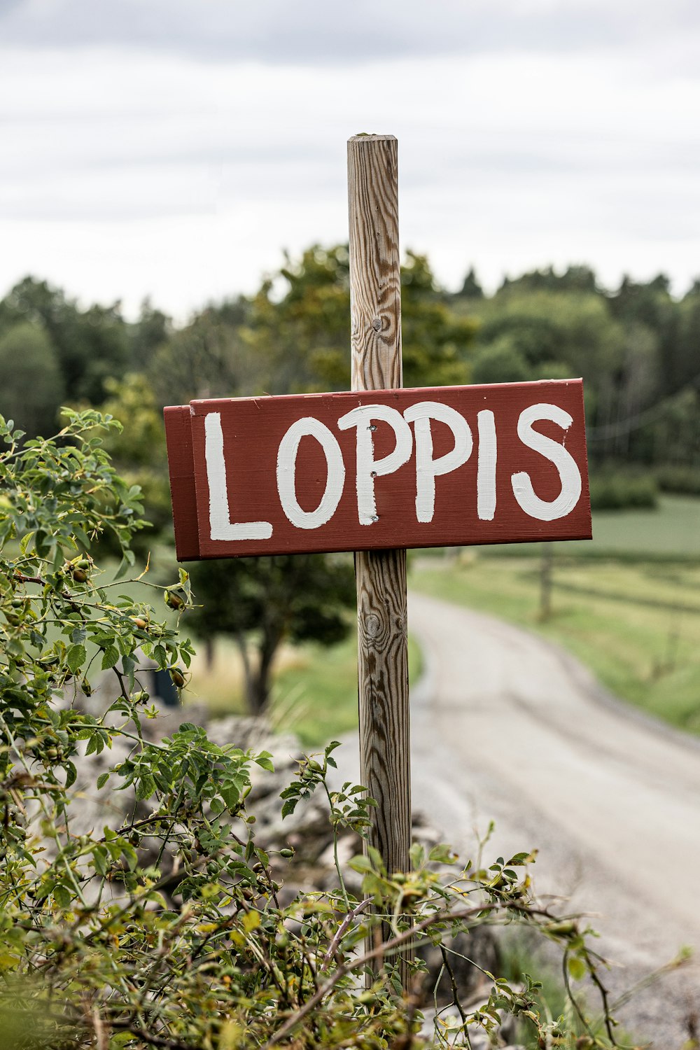 Un letrero de madera que dice loppis en él