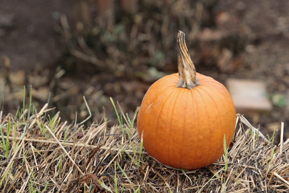 an orange pumpkin sitting on top of dry grass