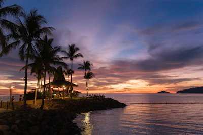a sunset view of a beach with palm trees