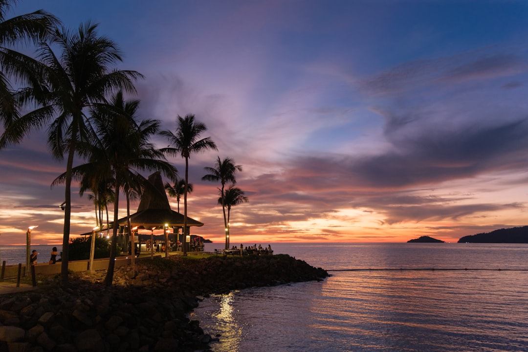 a sunset view of a beach with palm trees,