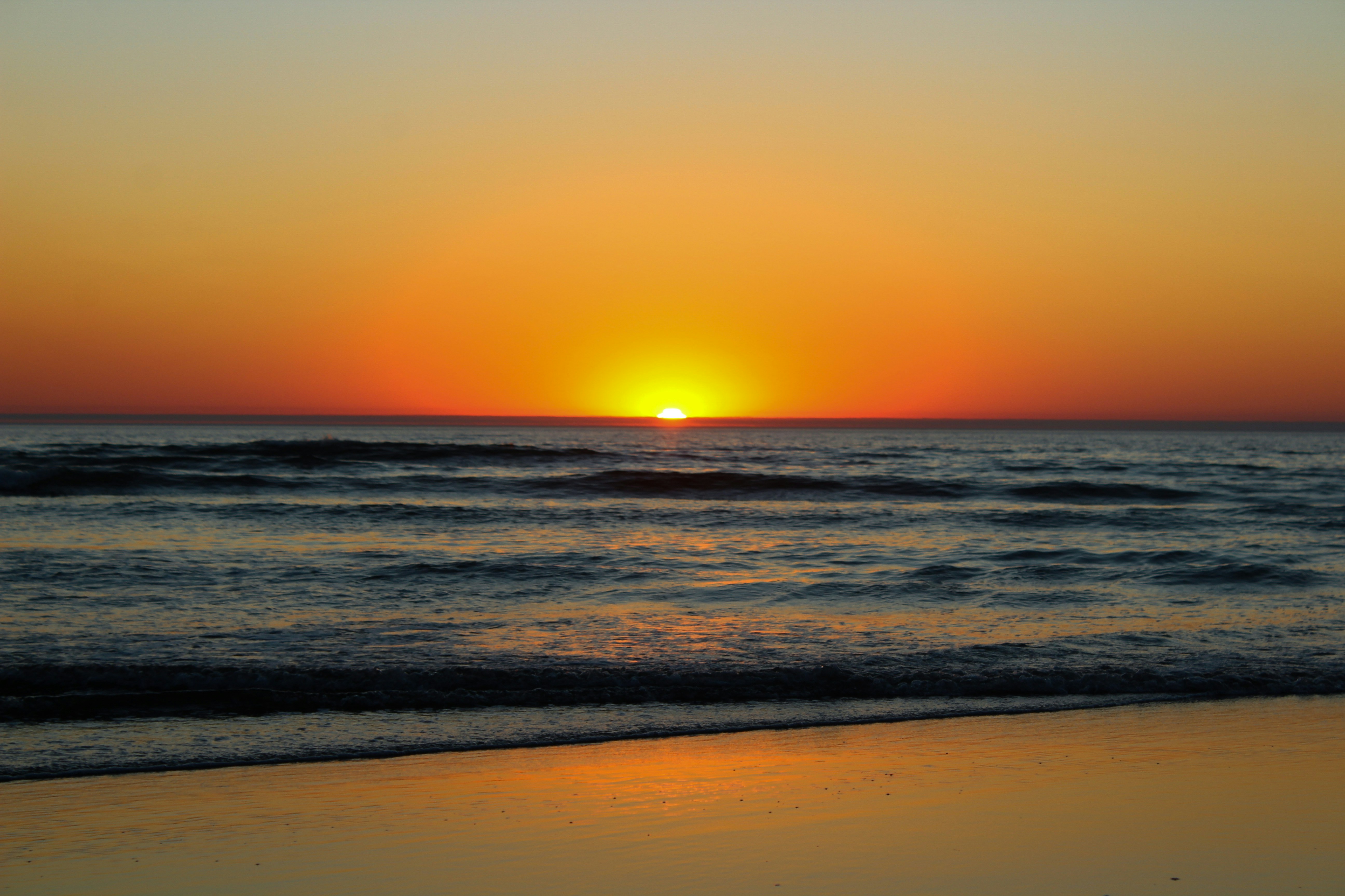 Photo by tobywrobinson