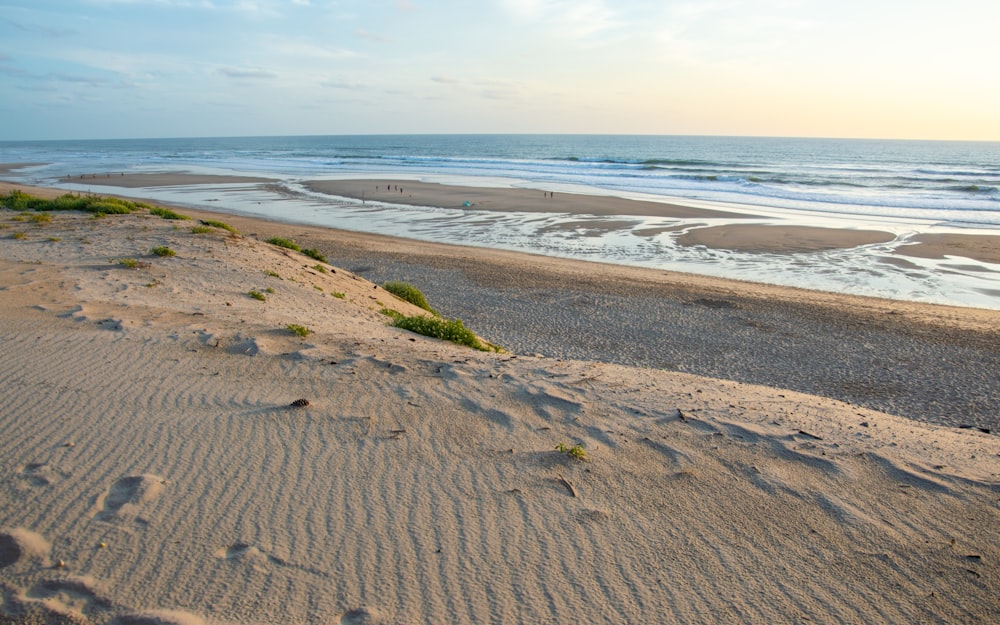 a sandy beach next to a body of water