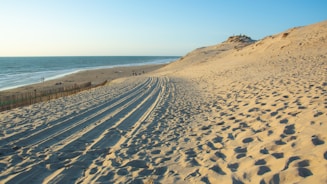a sandy beach with tracks in the sand