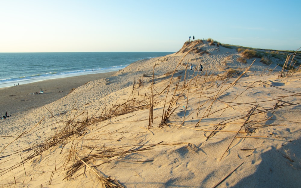 a group of people standing on top of a sandy beach