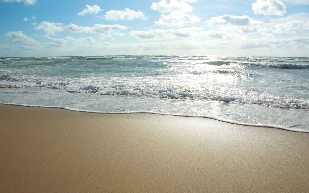 a sandy beach next to the ocean under a blue sky