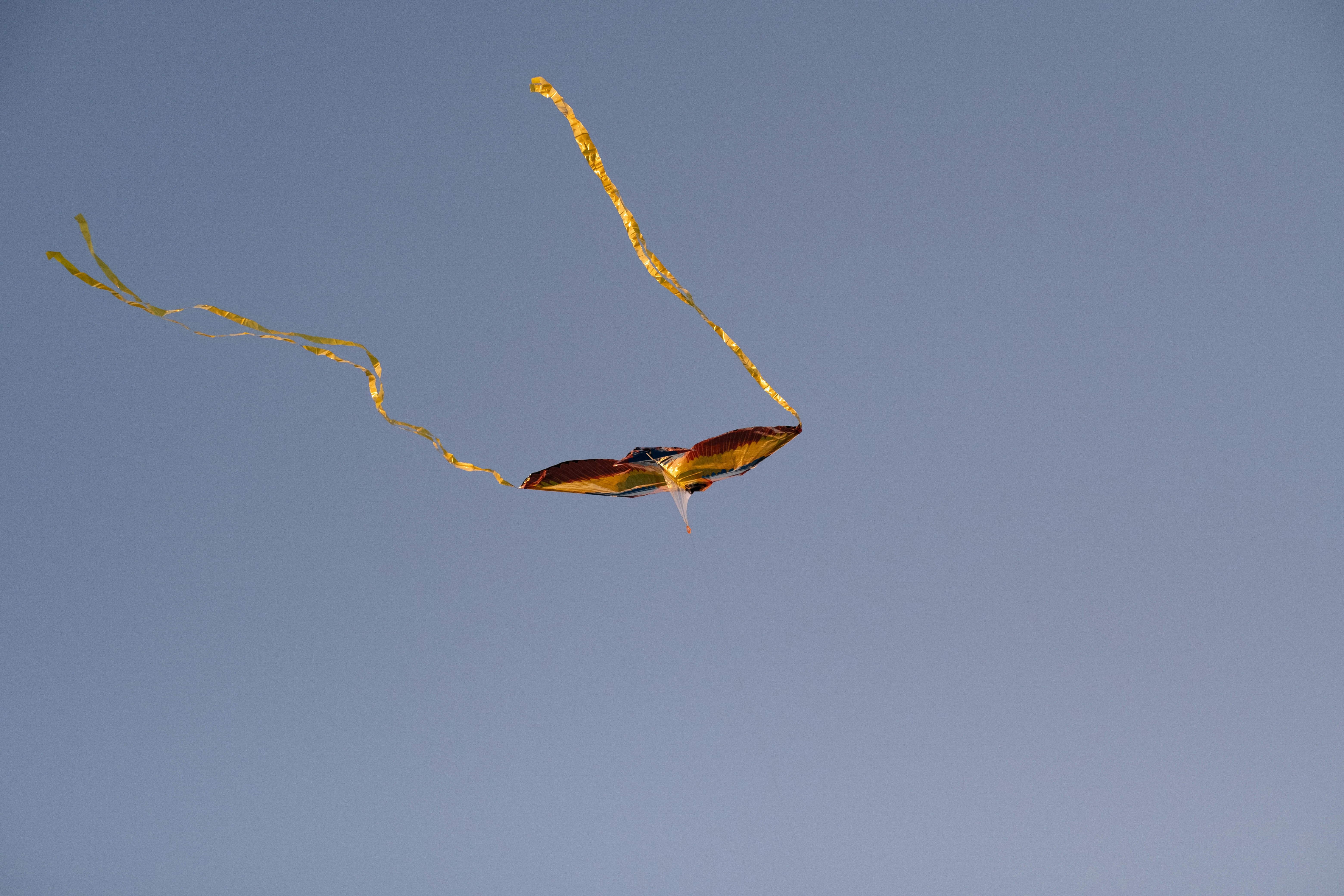 Photo by dcanadianphotographer