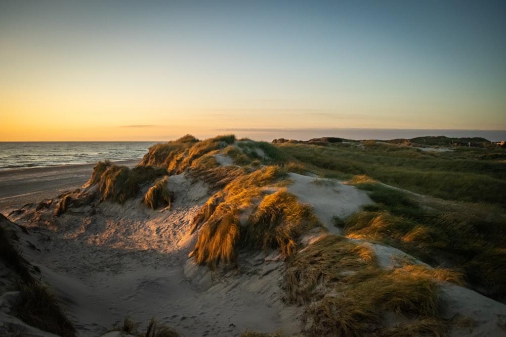 the sun is setting on the beach and the grass is blowing in the wind