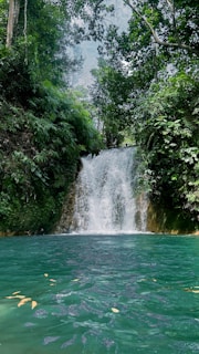 A waterfall cascades over a rocky outcrop surrounded by dense, lush green vegetation. The clear water collects into a turquoise pool at the base of the falls, with a few scattered leaves floating on the surface. Sunlight filters through the forest canopy, creating a serene and refreshing atmosphere.
