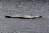 A wooden floating platform sits on a body of water, equipped with a metal ladder. The surface of the water is slightly rippled, suggesting a calm environment. The lighting is muted, indicating overcast weather.