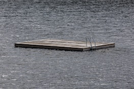 A wooden floating platform sits on a body of water, equipped with a metal ladder. The surface of the water is slightly rippled, suggesting a calm environment. The lighting is muted, indicating overcast weather.