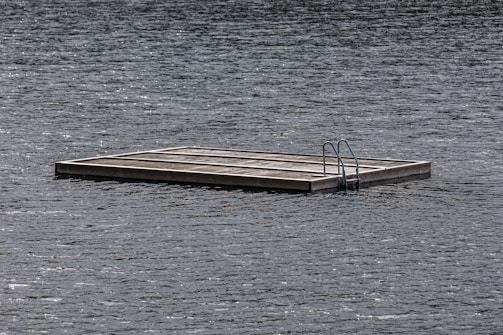 A wooden floating platform sits on a body of water, equipped with a metal ladder. The surface of the water is slightly rippled, suggesting a calm environment. The lighting is muted, indicating overcast weather.