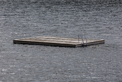 A wooden floating platform sits on a body of water, equipped with a metal ladder. The surface of the water is slightly rippled, suggesting a calm environment. The lighting is muted, indicating overcast weather.