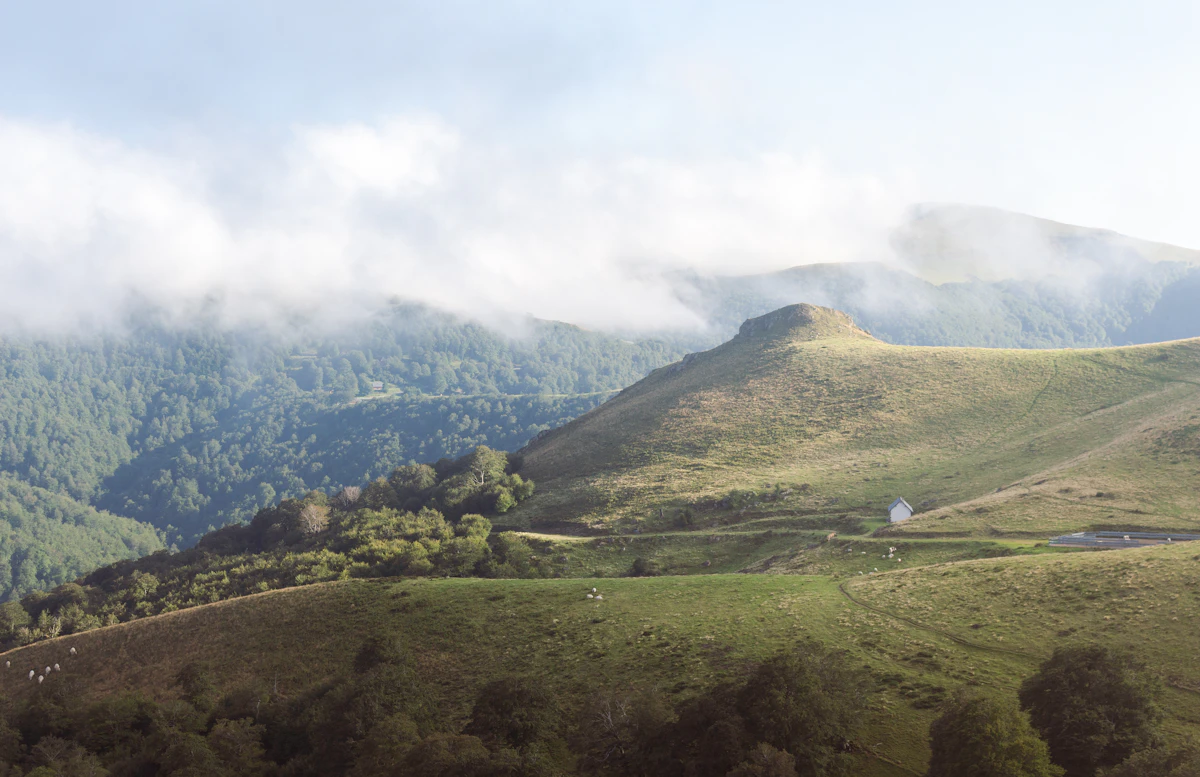 Collines verdoyantes de Larrau dans les Pyrénées-Atlantiques, Pays Basque français