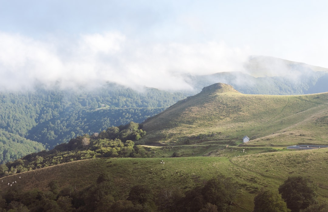 a lush green hillside covered in fog and clouds