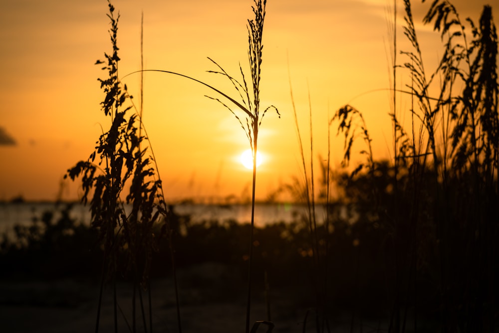 the sun is setting over a body of water