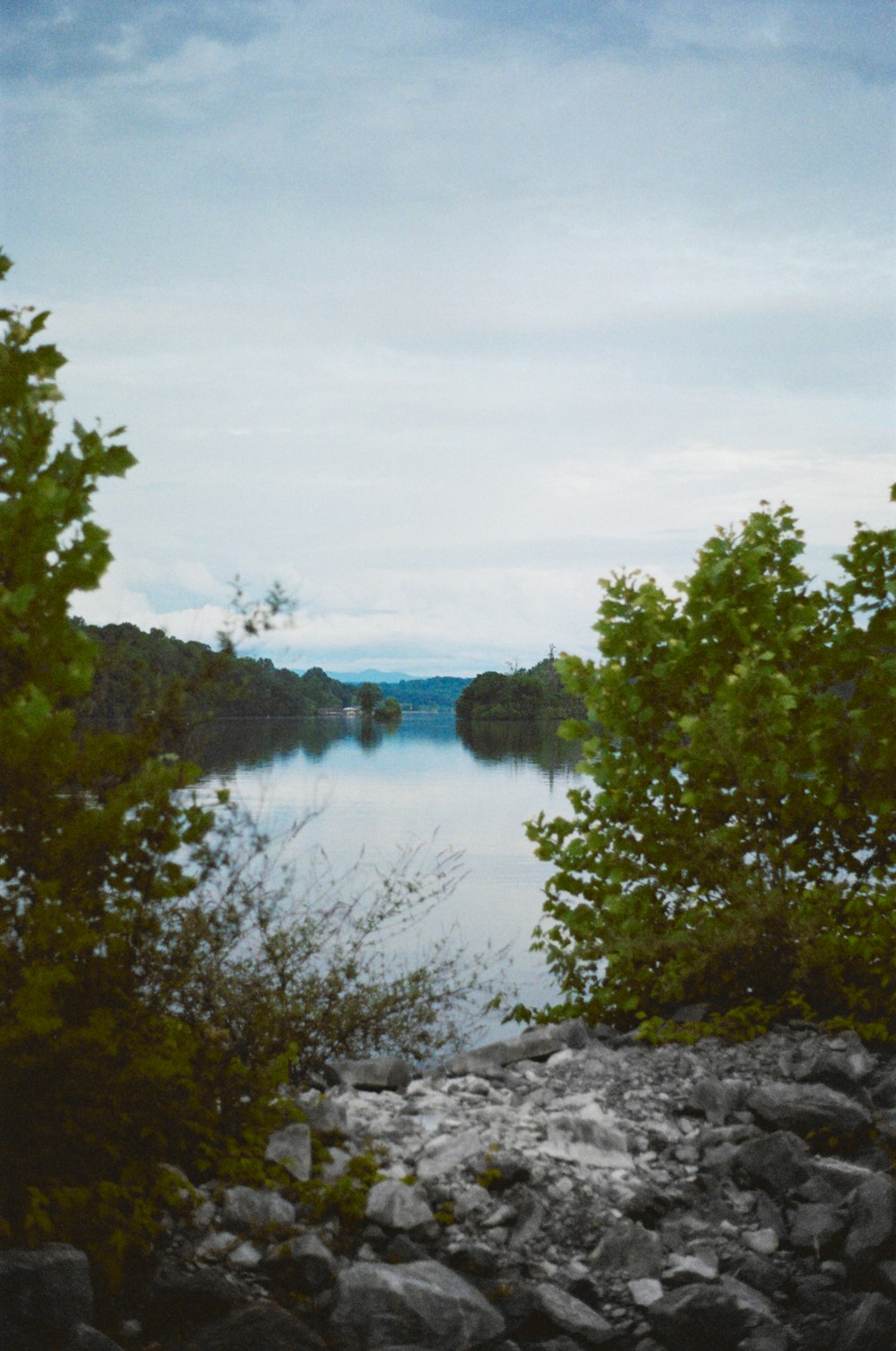 a view of a body of water surrounded by trees