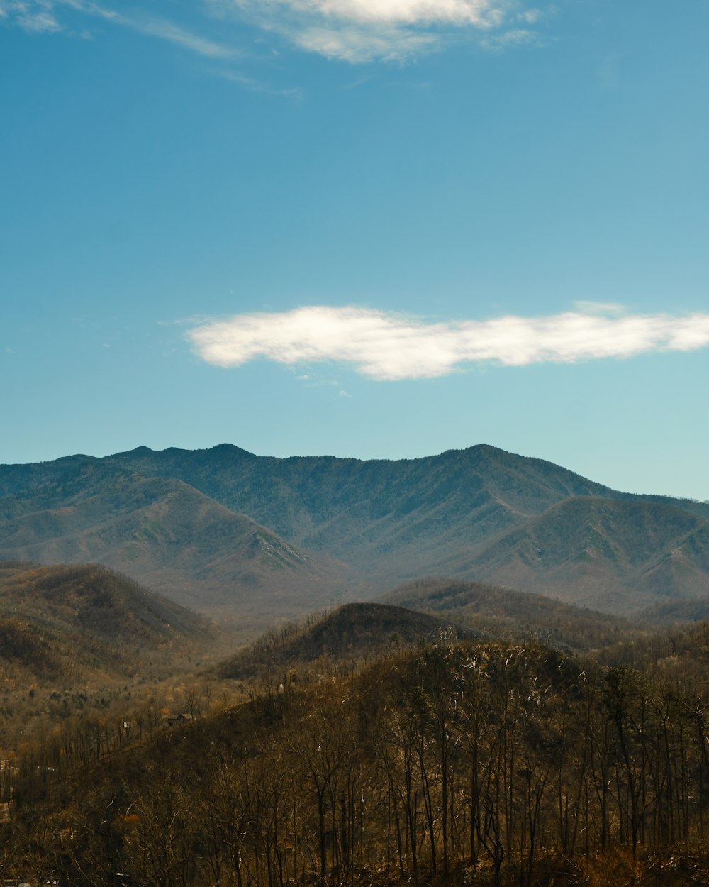 a view of a mountain range in the distance