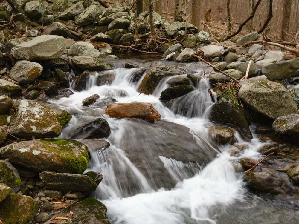 a stream of water running over rocks in a forest