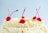 Close-up of a beautifully decorated cake on a wooden table.